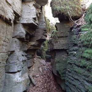 ESCLETXES DE LA FREIXENEDA